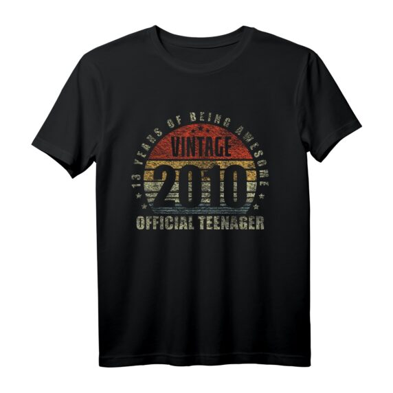 Vintage 2010 Offizielles Teenager T-Shirt zum 13. Geburtstag - Cooles Retro Design für Jungen & Mädchen, Level 13 seit 2010